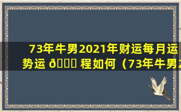 73年牛男2021年财运每月运势运 🐋 程如何（73年牛男2021年财运每月运势运程如何样）